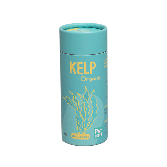 Kelp