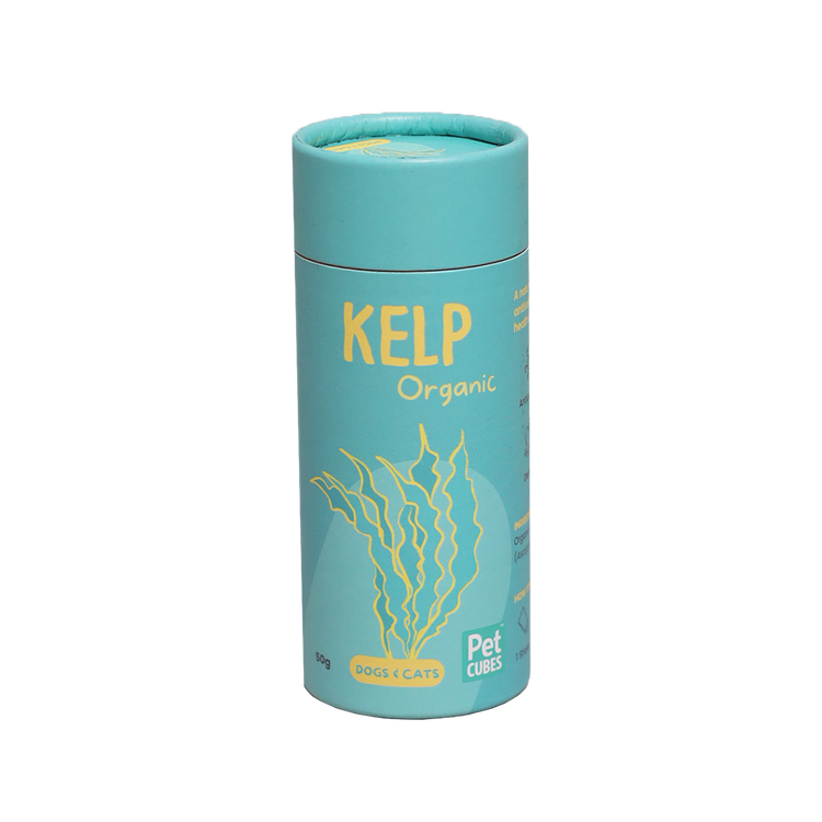 Kelp